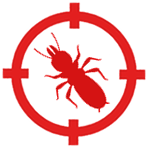 control de plagas de termitas en mataro